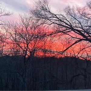 Meet your Posher, Tabitha